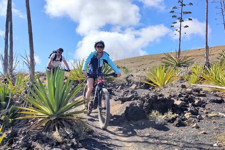 Lanzarote E-Bike Tour: Volcano Craters & Scenic Vineyards