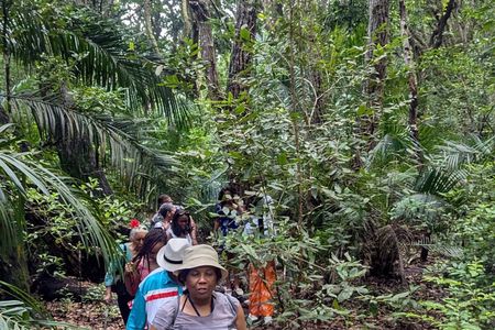 Zanzibar Island: Forest Trails & Turtle Encounters