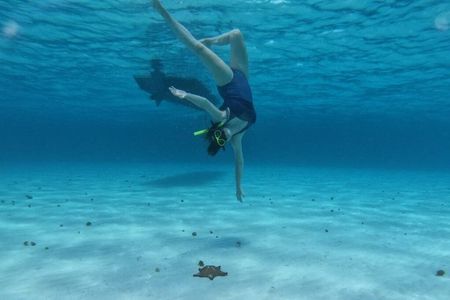 Shared Snorkeling Tour Playa El Cielo in Cozumel