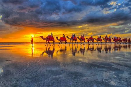 1 Hour Broome Sunset Camel Tour on Cable Beach