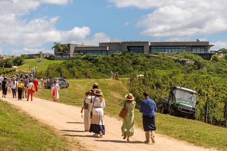 Bodega Garzon Wine Experience with Private Transfer