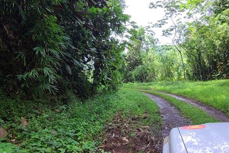 Discovery of the green side of the sacred island and its history