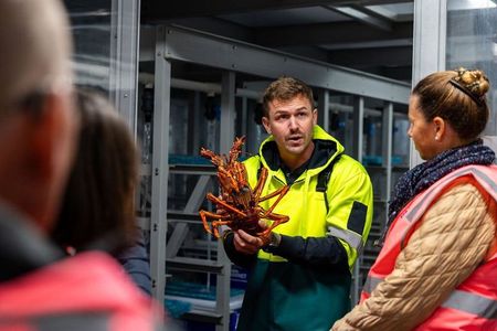Sydney Fish Market Behind the Scenes Tour