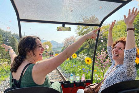 Seoul Vicinity 5 in 1: Nami Island, Garden of Morning Calm & More