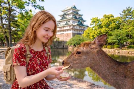 From Osaka: Nara & Todaiji Temple Day Tour with Kuroshio Market