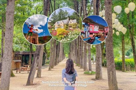 Nami Island, Alpaca, Petite France, Garden of Morning Calm Tour