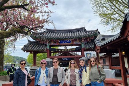 Nami Island, Railbike & Morning Calm Private Tour from Seoul
