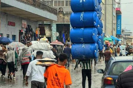 Best of Addis Ababa History and Culture City Tour (Customizable)