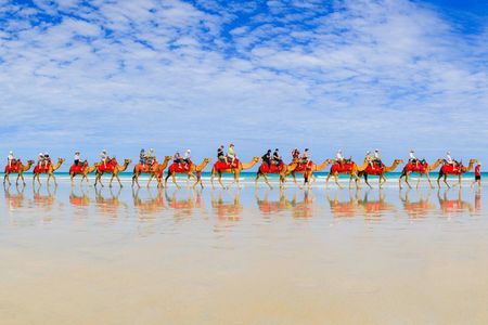 40 minute Magical Morning Camel Tour on Cable Beach, Broome