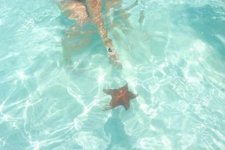 Tours Saona Paradise : 4 Beaches, Natural Pool and Turtles