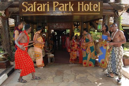 A Night of Rhythm and Cuisine: Safari Park Cat Dance Experience