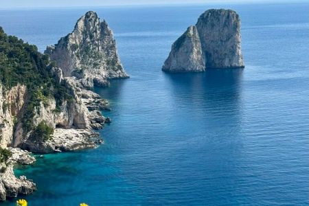 From Sorrento/Nerano: Capri Shared Tour - without pick up