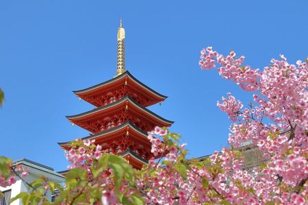 Explore Fukuoka History Culture and City Life