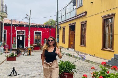 Valparaiso and Vina del Mar Classic Guided Tour Heritage Wealth