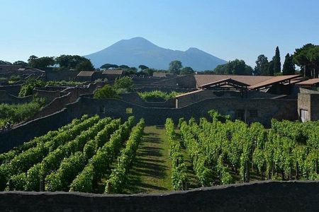 Pompeii Daily Roman Life Small-Group Tour with an Archaeologist