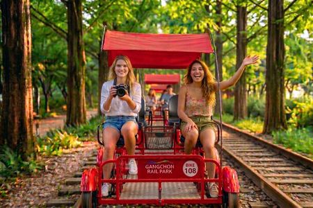 Nami Island, Petite France with Rail Bike Day Tour From Seoul