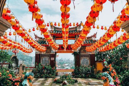 George Town Highlights & Upside Down Museum tours (5 Hours)