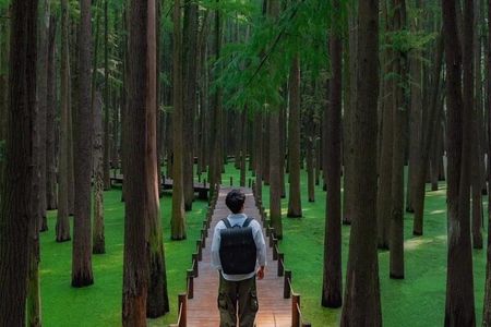 Shanghai Matcha Lake and West Lake Day Trip by Train