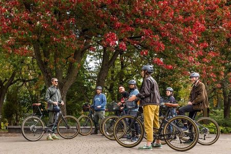 Bike / E-bike Tour : Downtown, Old Montreal, Waterfront by Fitz