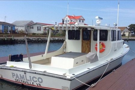 Seaside Cruising Dolphin Watching and Sunset Cruises