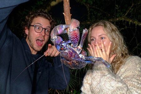 Miyako Island Night Tour Jungle Adventure Stargazing and Wildlife