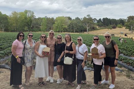 Adelaide Gems in a Day: Hahndorf, Glenelg Beach, City Tour 6.5hrs