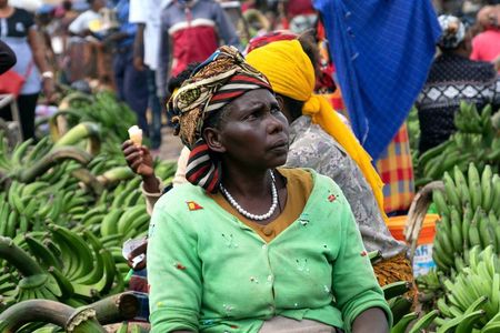 Moshi Cultural Day: Materuni Waterfall, Coffee Tour | City Tour