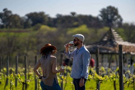 Private Bodega Gamboa Wine Tasting Tour With Lunch