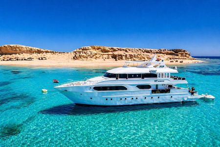 Tiran Island Excursion From Sharm Elsheikh