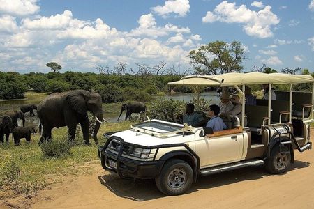 Full Day Chobe Boat Cruise & Game Drive Safari Experience