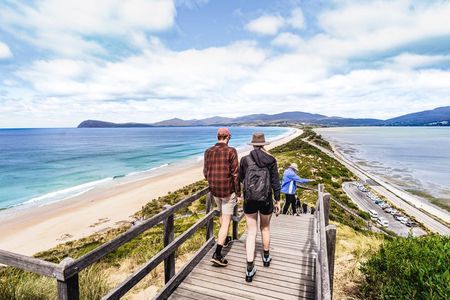Bruny Island Essential Explorer Full Day Tour from Hobart