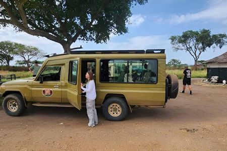 3 days Chimpanzee tracking Kibale Uganda