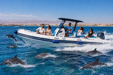 Hurghada Private Speed Boat Trip to Dolphin House & Snorkeling