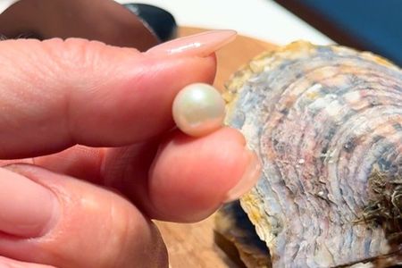 Tenerife: Pick A Pearl Experience with Jewellery Setting