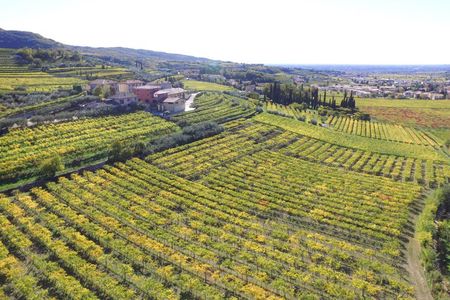 Amarone Della Valpolicella Wine Experience - Meet the Vogadori Family