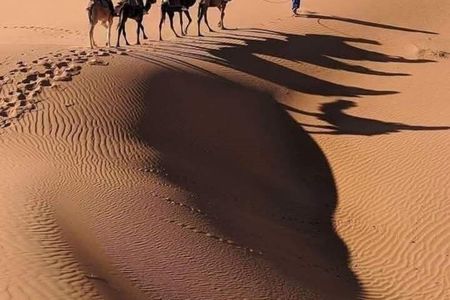Merzouga Desert 2 Days of Dromedary Ouarzazate and Bivouac