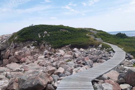 Cabot Trail & Baddeck Tour from Sydney Cape Breton Cruise Port