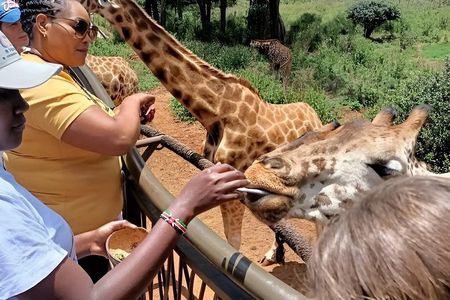 Giraffe Centre Safari Experience in Nairobi / Kobe Beads Factory