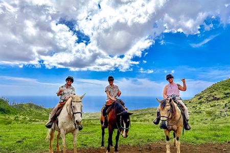 Sunshine Mountain Vista Horseback Trail Ride on Oahu