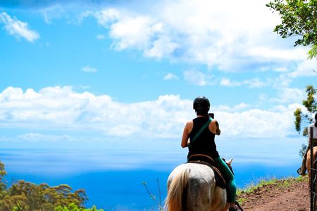 Afternoon Mountain Vista Horseback Trail Ride on Oahu