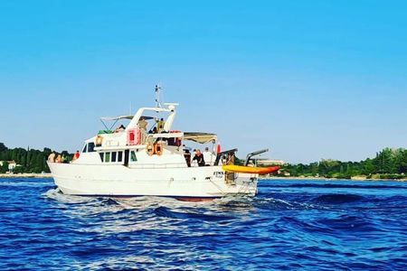 Sunset Cruise with Dolphin Spotting from Umag with Welcome Drink