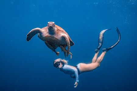 Los Cabos Snorkeling Tour to Chileno Bay and Santa Maria Cove