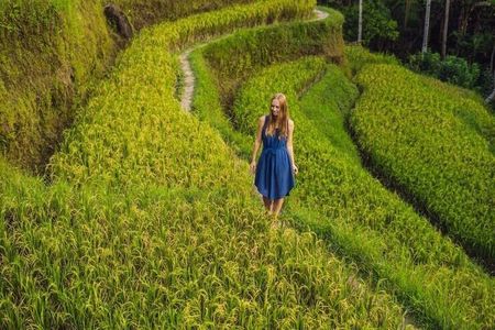 Best of Ubud in One Day-Private Tour with Lunch & Top Attractions