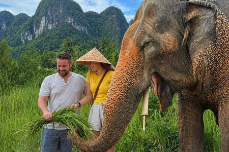 Elephant Nature Care, the largest elephant sanctuary on Koh Samui