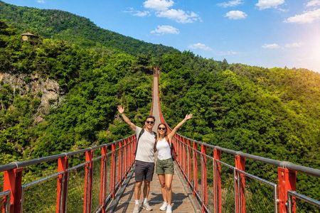 Exclusive DMZ Tour with JSA Studio,Suspn. Bridge&Shooting Range
