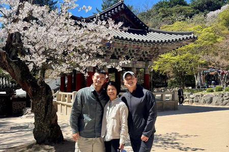 Private Gyeongju UNESCO Highlights Tour with Local Ryan