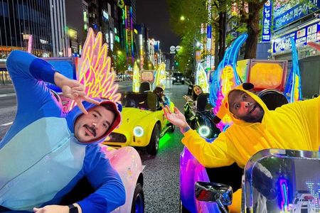 Tokyo Go Kart Tour in Akihabara (IDP Required)