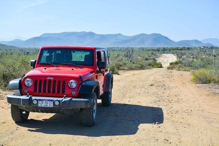 Private Todos Santos Jeep Tour