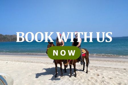 Beach Horseback Riding & Snorkel (Tamarindo, Potrero, Flamingo)