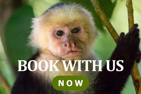 Palo Verde National Park - a wild taste of Costa Rica